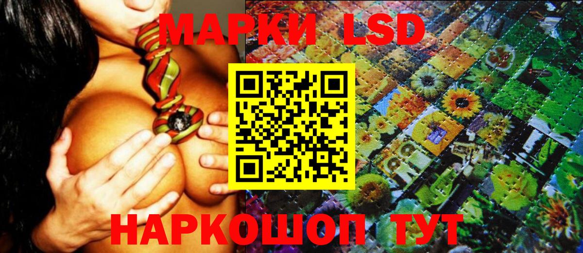Мефедрон  Вязники  МЕТАМФЕТАМИН  Вход с VPN  МЕТАДОН  Меф МЯУ МЯУ кристаллы  ГАШИШ  Alpha-PVP СОЛЬ кристаллы  ГАШ  МАРИХУАНА  МАРИХУАНА  Кокаин 