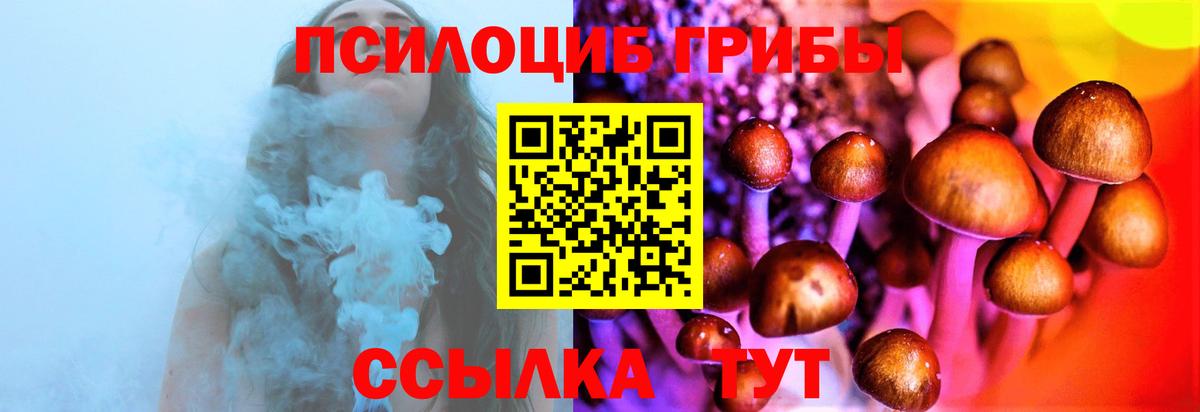 Галлюциногенные грибы ЛСД  продажа наркотиков  Вязники  Вход с VPN 